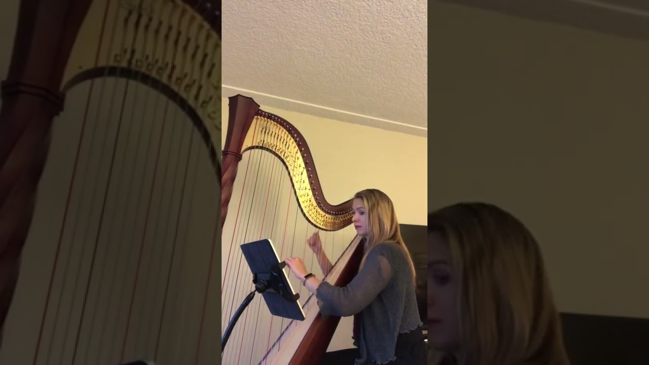Promotional video thumbnail 13 for Harpist Karina