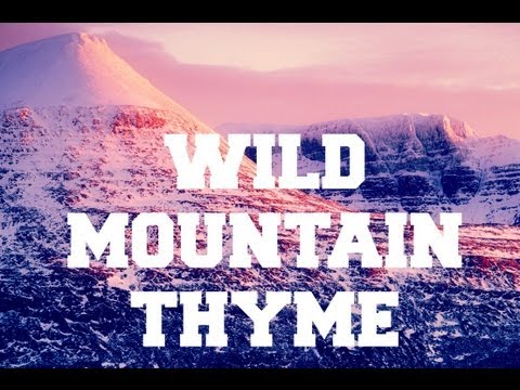 ♫ Scottish Music - Wild Mountain Thyme ♫