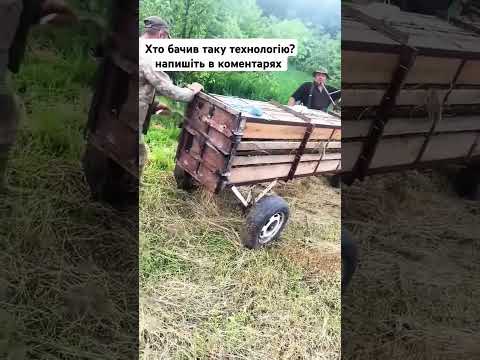 😳 ТЮКУЄМО ЯК 50 РОКІВ ТОМУ#farming#farmlife#oldschool#trending#youtubeshorts#viral#fyp#foryou