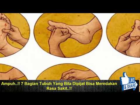 Ulasan patogen wanita terbaik Wanita murah patogen di apotek