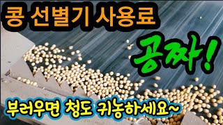 콩 선별기 사용이 무료라고? 어데가? 청도 아이가~~~