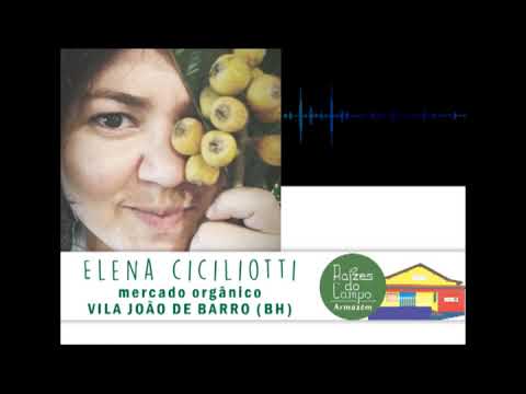 Armazém Raízes do Campo