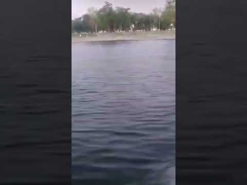 Johnson 70 a toda máquina!!! en Villa Rumipal...Córdoba, Argentina