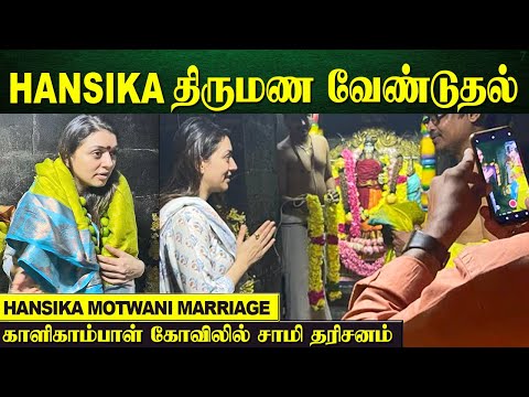 Hansika Motwani Marriage getting Grand - Hansika Went to Kalikambal Temple Chennai