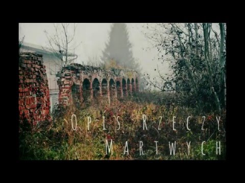 Ali WS - Emocje (02) prod. Piotras