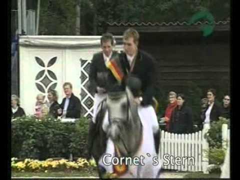Cornets Stern - Elite Stallions