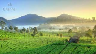 Download lagu status wa pemandangan indah mp3