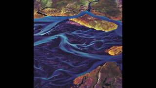 Carson - Drown the Witness