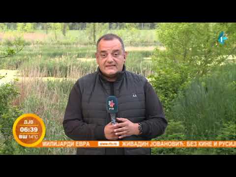 Bačka Palanka: Servisne informacije