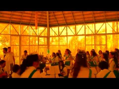 PEDI FORÇA A MEU PAI - FLOR DE JAGUBE - MESTRE 54