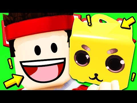 HO SPESO 100.000.000 DI ROBUX, SOLDI FACILI!! — Roblox ITA (Pet Ranch Simulator)