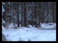 Охота на кабана с подхода.f4v 