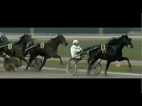 Bahrenfeld Cup II 2012_Bogey Boko_Maik Esper