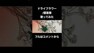 #ドライフラワー #優里 #歌ってみた #cover #歌い手 #shorts