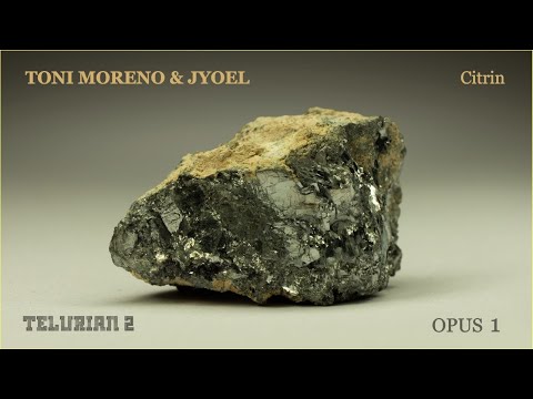 Toni Moreno & Jyoel - Citrin [TELURIAN 2] • Zebra Rec. & Rebel Music [ZBRCD002]