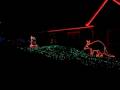 Point Defiance Zoo Lights 