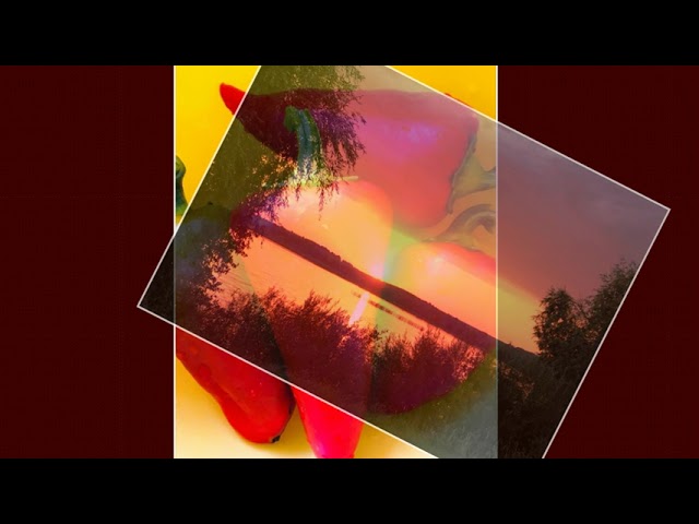 Закаты, подсолнухи и собака Белка. Монтаж видео Людмилы Никифоровой