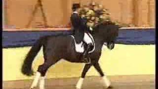 Vídeo de Diamond Hit