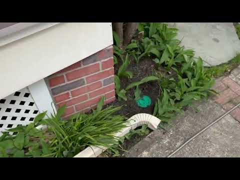 Protection Home From Termites with...