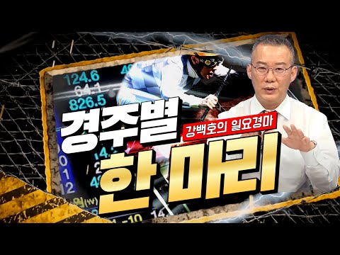 3월 23일(日) 강백호의 경주별 한마리