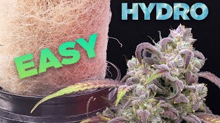 How to HYDRO EASY - COMPLETE GROW GUIDE Cannabis &amp; Weed Hydroponic DWC