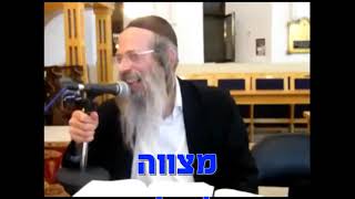 הרב אליהו גודלבסקי |  מקבץ מילי דשטותא לרגל המצב.