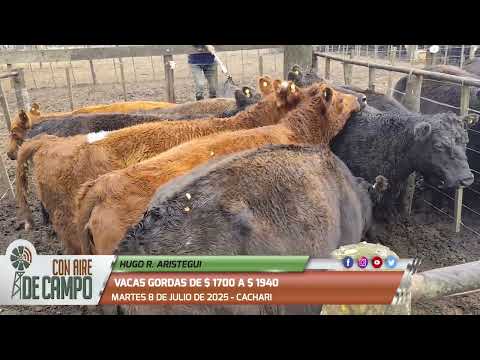 Resumen del Remate de Hugo R. Aristegui - Martes 8 de julio de 2025 - Cachari