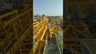 Grua de torre Zoomlion | Imagem 5 - Machineryline