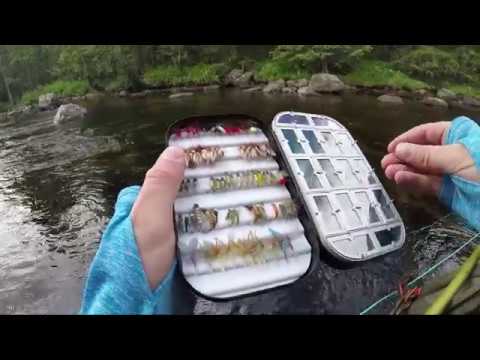 Fiske i Hedmark / Norge