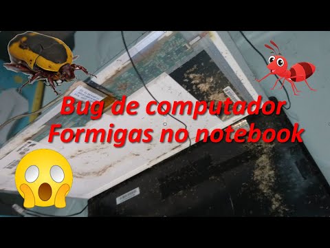 Bug inseto formigas no notebook 😱 / como limpar notebook com formiga