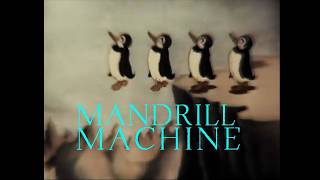 The Last Mandrill - Lazy video