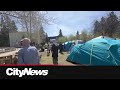 Pro-Palestinian protestors set up encampment at UCalgary campus