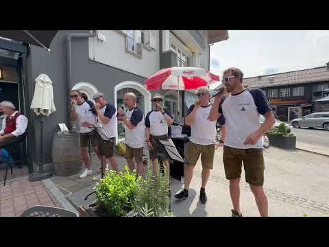 PinzgaVoice - Nussschüsselblues