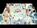10 Mile Stereo Response Video for Beach House