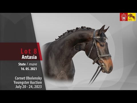 Cornet Obolensky Auktion Lot 08 Antasia Stute v. Air Jordan - Castelan II
