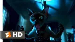 Cats & Dogs (3/10) Movie CLIP - Ninja Cats (20