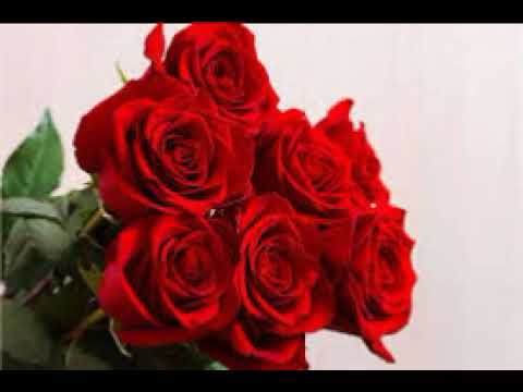 22 06 2025 AAJ KE MEHMAN JASLIN KAUR