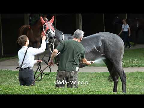 Gon. I - 4.07.2021 - Province of Frost (Silver Frost - Plethora)