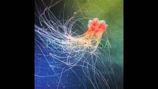 Ponderosa - Pool Party - Pool Party [Audio Video]