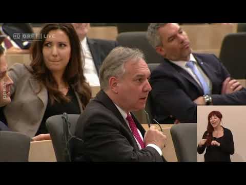 Irmgard Griss NEOS    Nationalratssitzung vom 30.01.2019 um 09:05 Uhr