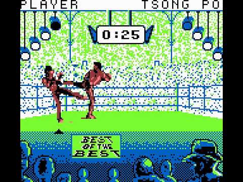 Best of the Best   Championship Karate Nintendo Game Boy GB Demo Euro