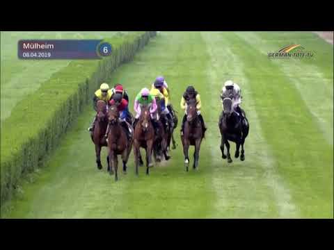 Sea the Moon-Rennen MH 2019