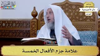 34 - علامة جزم الأفعال الخمسة - عثمان الخميس