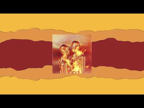 Amedeo, Oana Marinescu - Ard Tot (RZVN x XAND Remix)