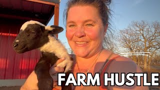 Farm Hustle: Selling Livestock, Repairs, Skid Steer Work & Baby Lamb Care All In One Day!