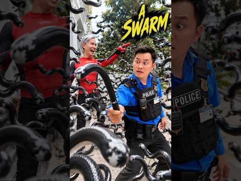 A swarm of spiders[BEN EAGLE] #ActionComedy #KungFu #Kindness #Trending #Viral #spiderman #comedy