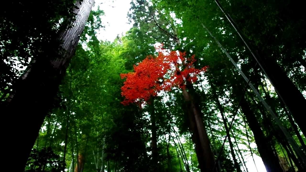 Pentax SMC DA 18-270mm F3.5-6.3 ED SDM