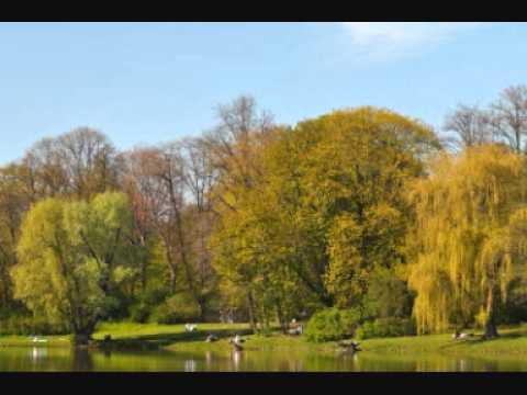 03. OCeZet - Ja, Mój świat... [Ciepła Wiosna]