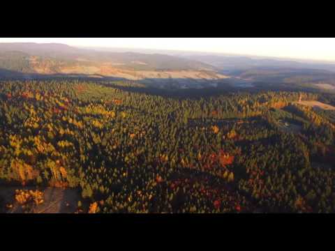 Agroturystyka Sarni Stok Krynica Zdroj