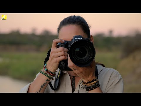 Nikon Z9 Opening Movie│Nikon